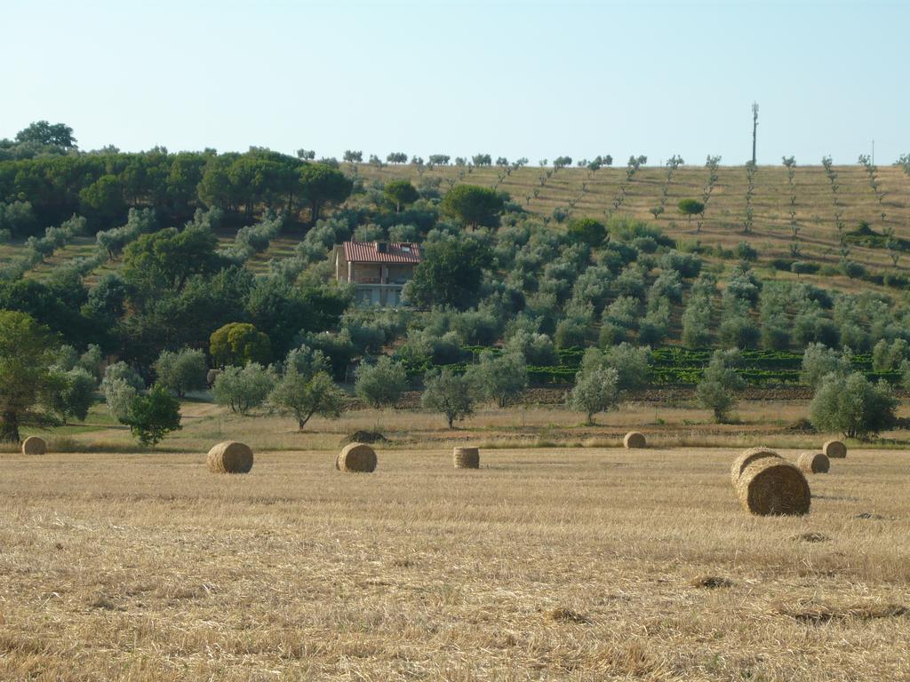 Agriturismo San Lino-Gilberto Масса-Мариттима Экстерьер фото